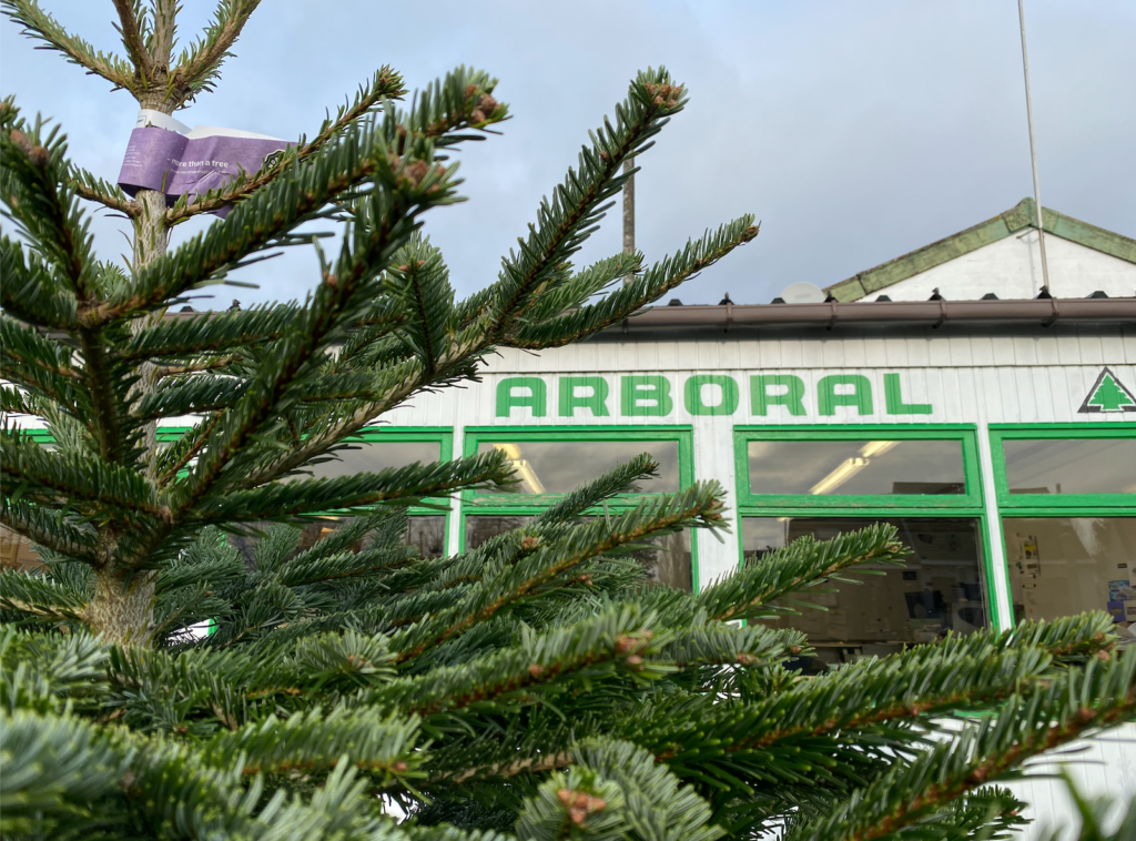 Echte Kerstboom Kopen - Arboral